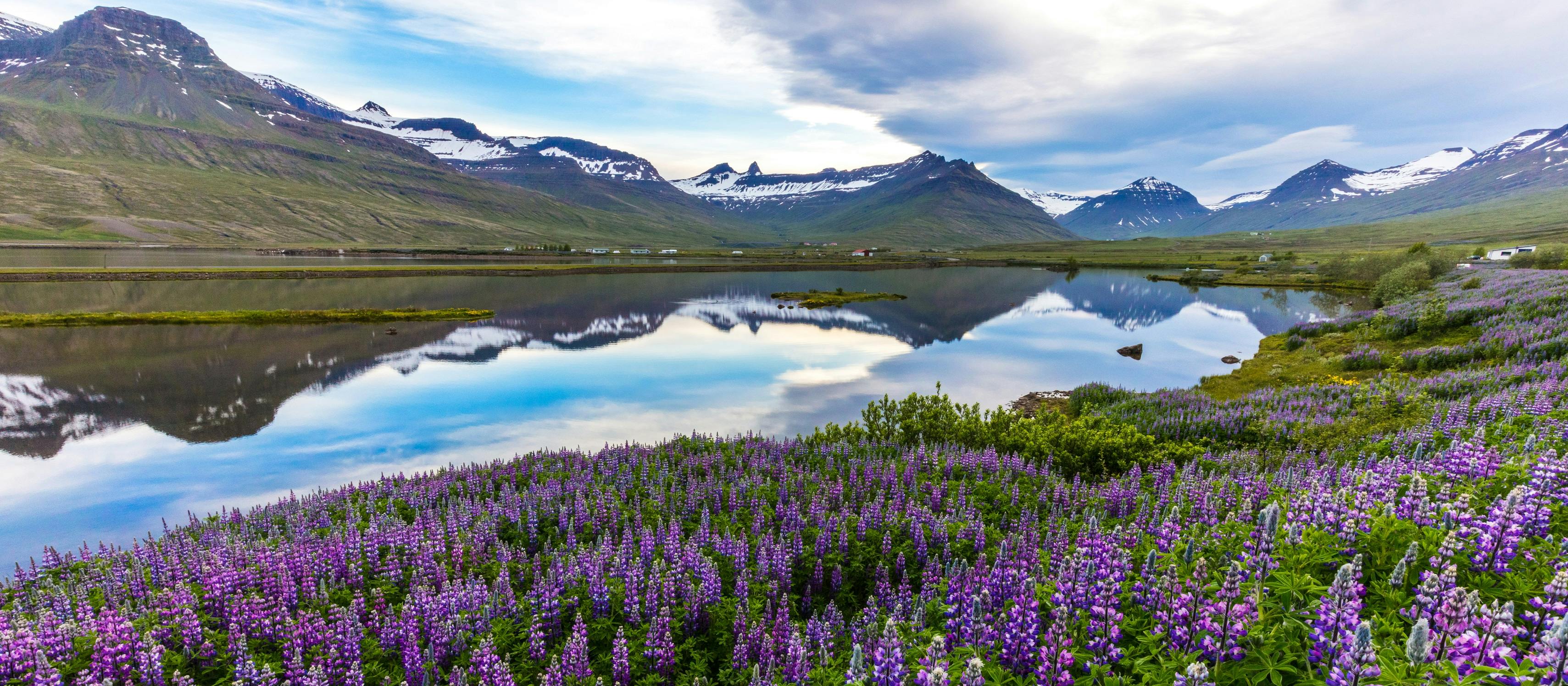 4-DAY Iceland South Coast and East Fjords Private Tour